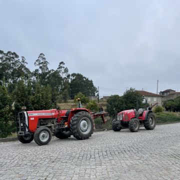 MACCunha FlorestAgric - Penafiel - Baumpflege
