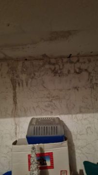 Interior Painter - Home Improvements