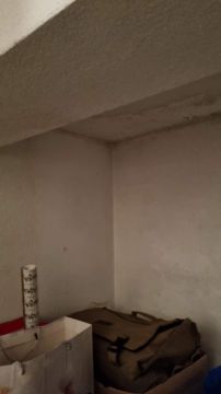Interior Painter