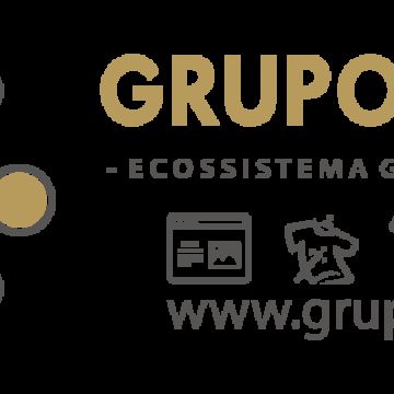 grupoQUERO.pt - Fundão - Programação Web