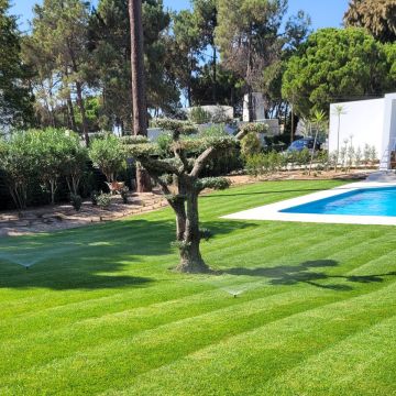 Clean Garden - Loulé - Installation d’un système d’irrigation goutte-à-goutte