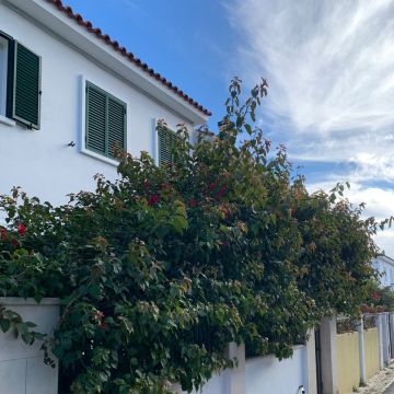 RB_jardinagem - Loures - Instalação de Sistema de Rega Gota a Gota