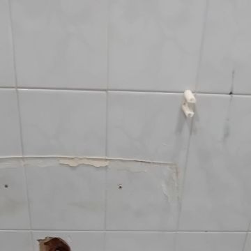 Orlando Remodelações - Leiria - Hardwood Floor Repair or Partial Replacement