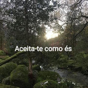 Rosária Resende de Terapias da Corujinha - Ponte de Lima - Alternative Heilmethoden und Hypnosetherapie