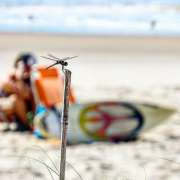 Felipe Sanguinetti - Seixal - Event Videography