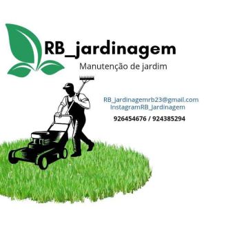 RB_jardinagem - Loures - Remoção de Tronco de Árvore