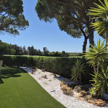 Clean Garden - Loulé - Plantation d’arbres