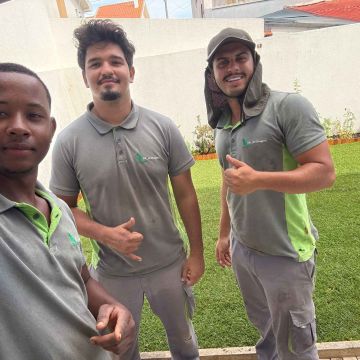 RB_jardinagem - Loures - Remoção de Arbustos