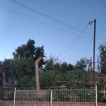 Ecomoz24 - Estremoz - Tree Trimming and Maintenance