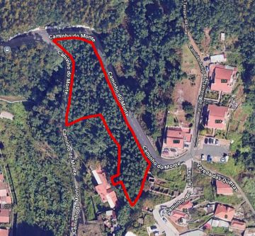 Serviço de Jardinagem