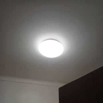 Tony - Coimbra - Gutter Installation or Replacement