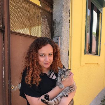 Vegan Pet House - Porto - Creche para Cães