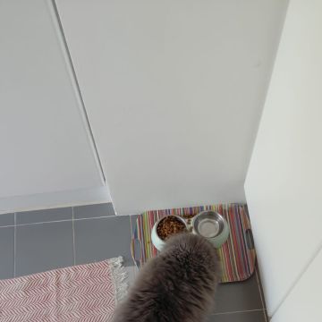 Rita Cerejo - Lisboa - Pet Sitting
