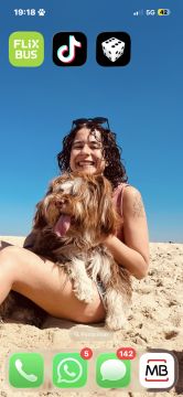 Hospedaje de perros