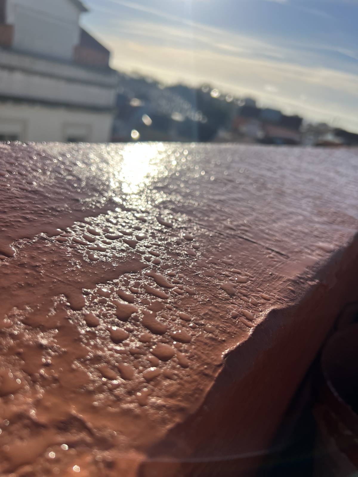 Gleisson Silva - Amadora - Limpeza de Cortinas