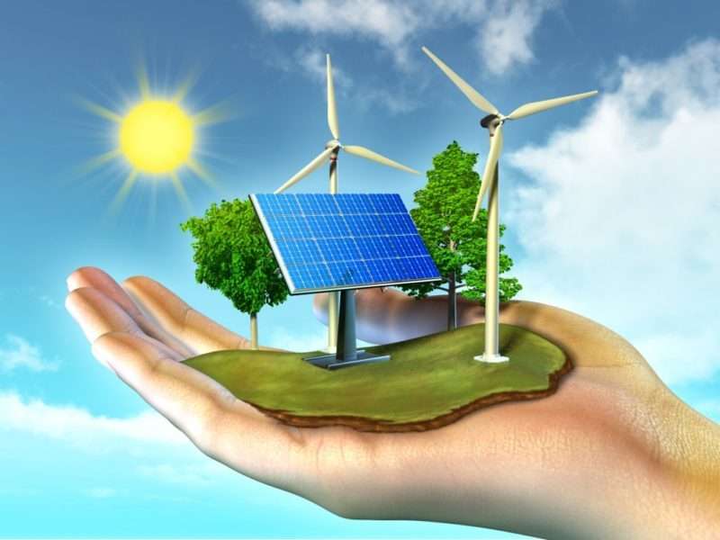 Jorge Pereira - Benavente - Solar Panel Cleaning or Inspection