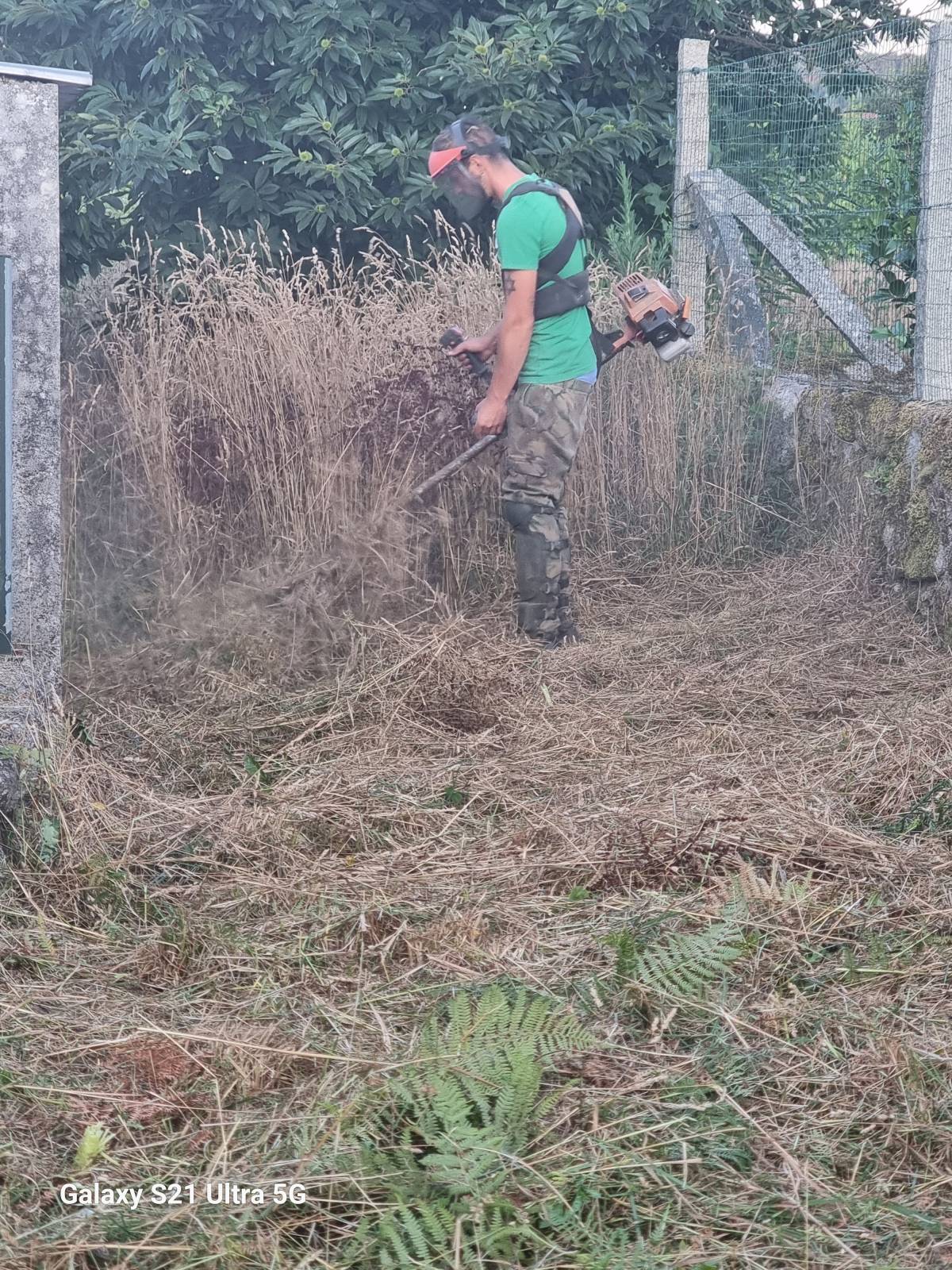 António Batista - Viseu - Shrub Removal