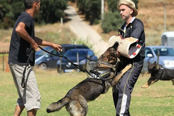 Marcus Freitas - Águeda - Motorista
