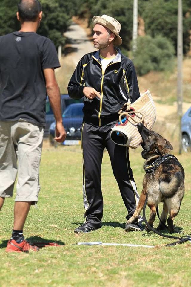 Marcus Freitas - Águeda - Treino Animal e Modificação Comportamental (Não-canino)