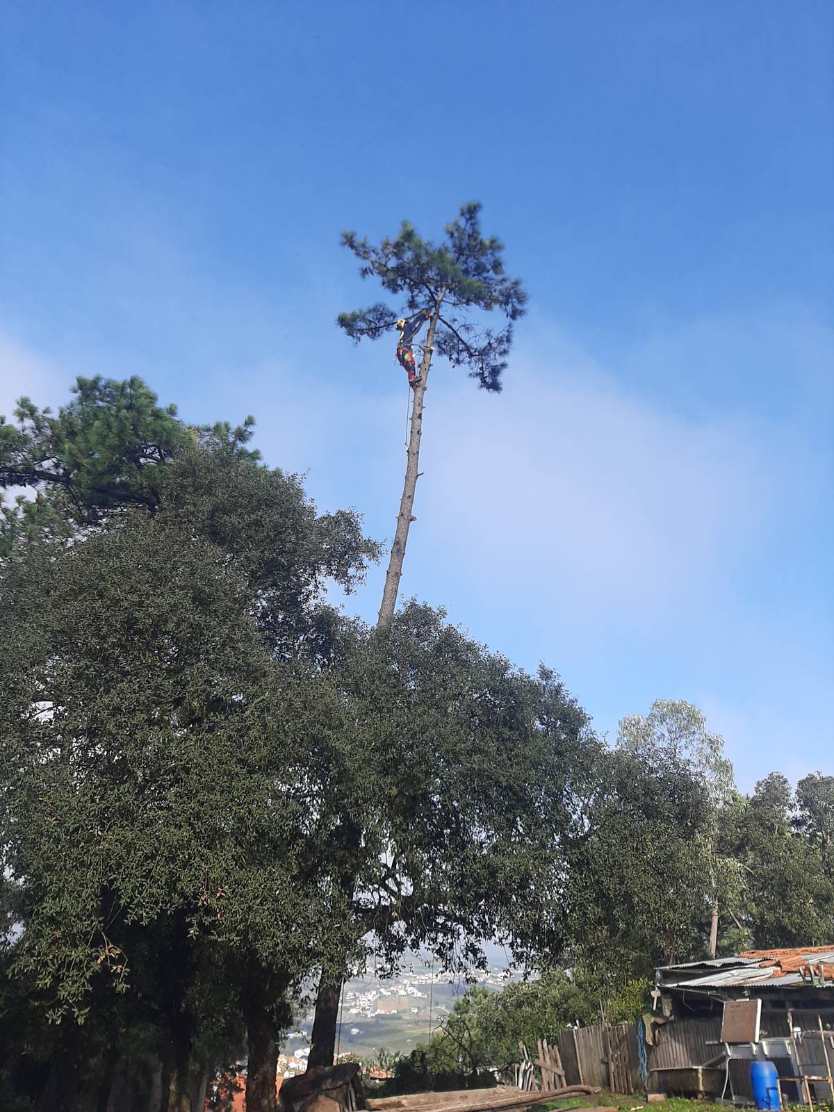 Santa Terrinha - Mafra - Tratamento de Relvado