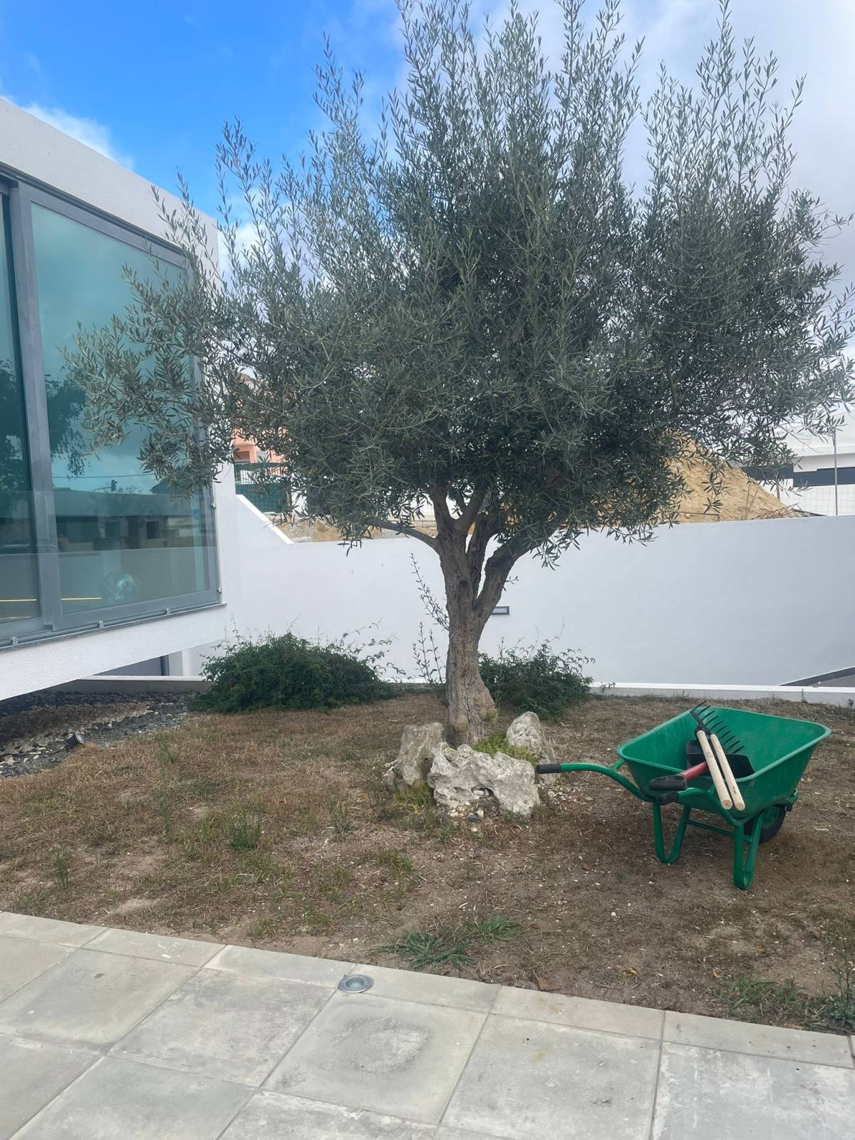 Portugreen - Palmela - Gartenarbeit