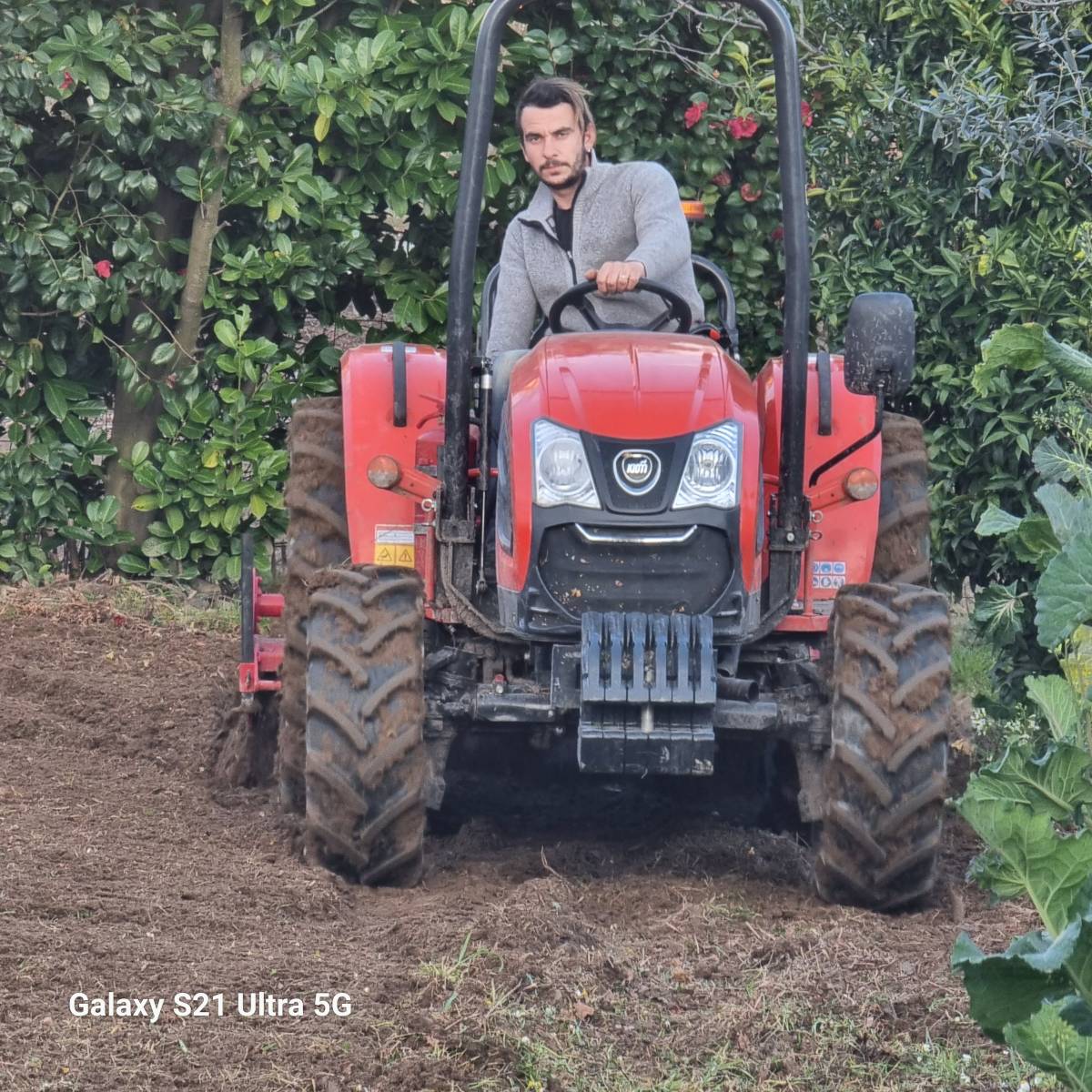 António Batista - Viseu - Lawn Mowing and Trimming