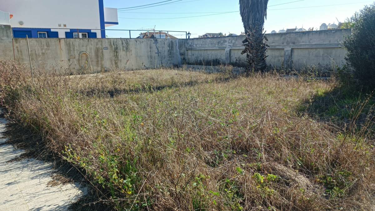 Prado Verde - Figueira da Foz - Remoção de Ervas Daninhas
