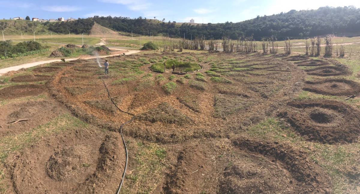 dvir - eco gardens - Grândola - Corte e Aparação de Relvado