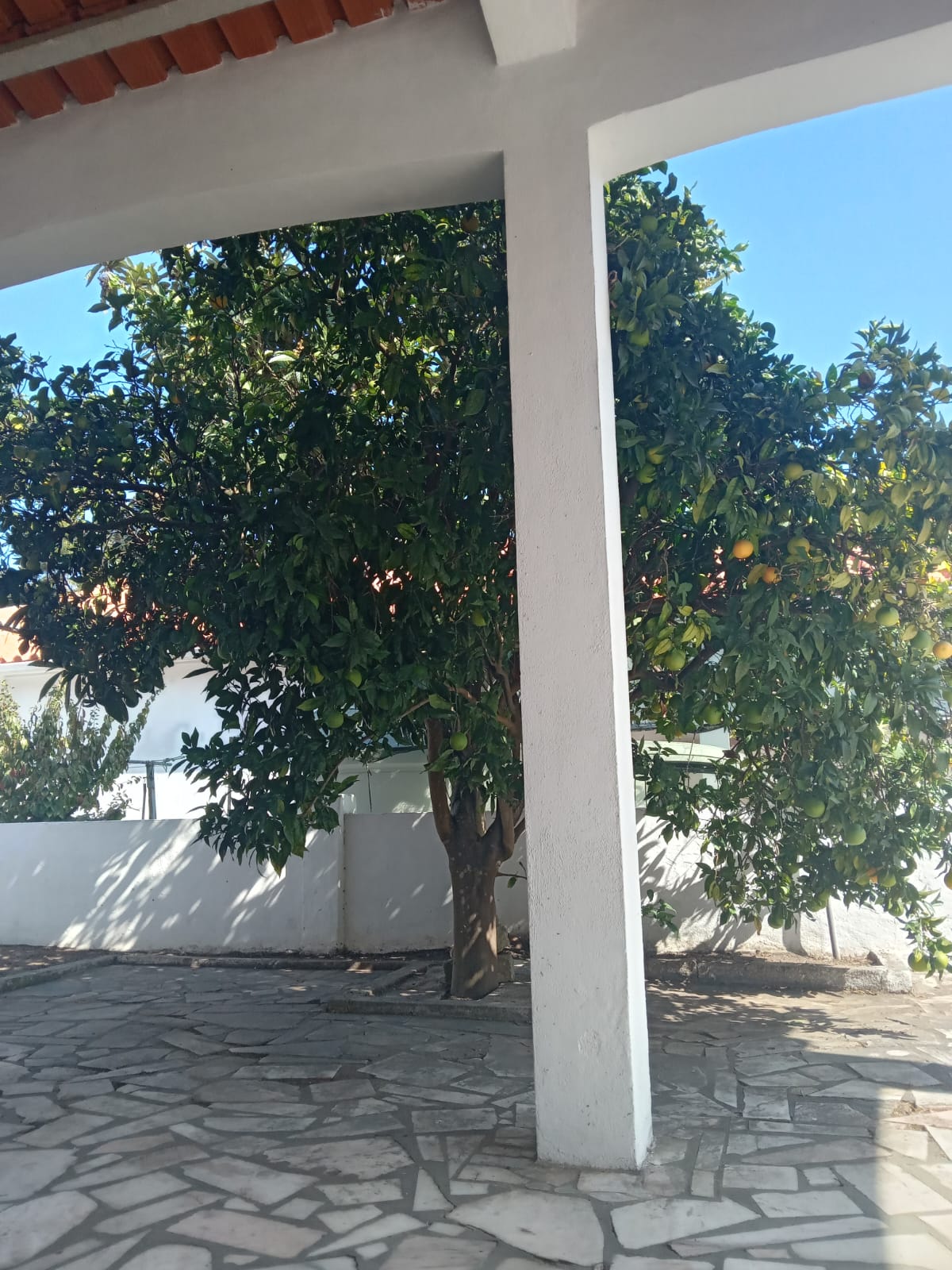 Portugreen - Palmela - Außenanstrich