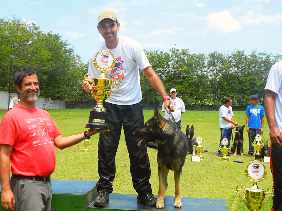 Marcus Freitas - Águeda - Treino Animal e Modificação Comportamental (Não-canino)