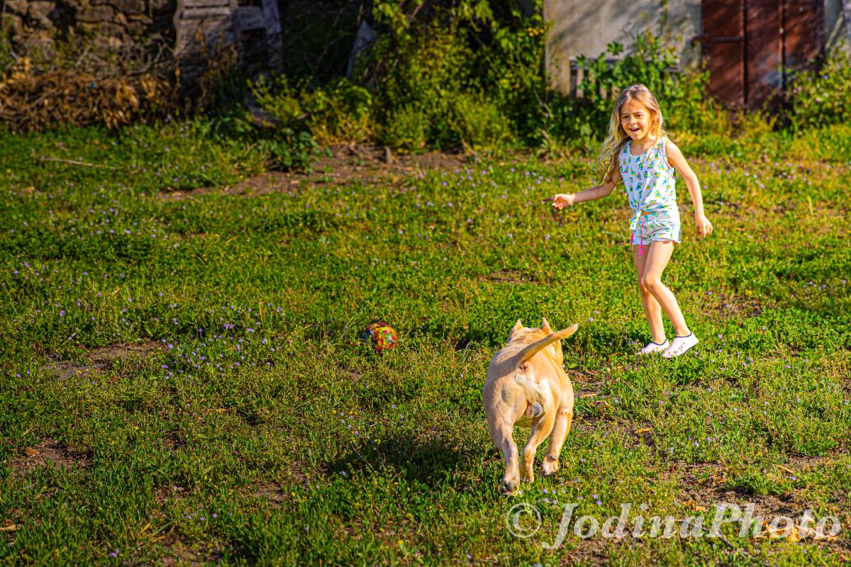 JodinaPhoto - Crato - Business Photography