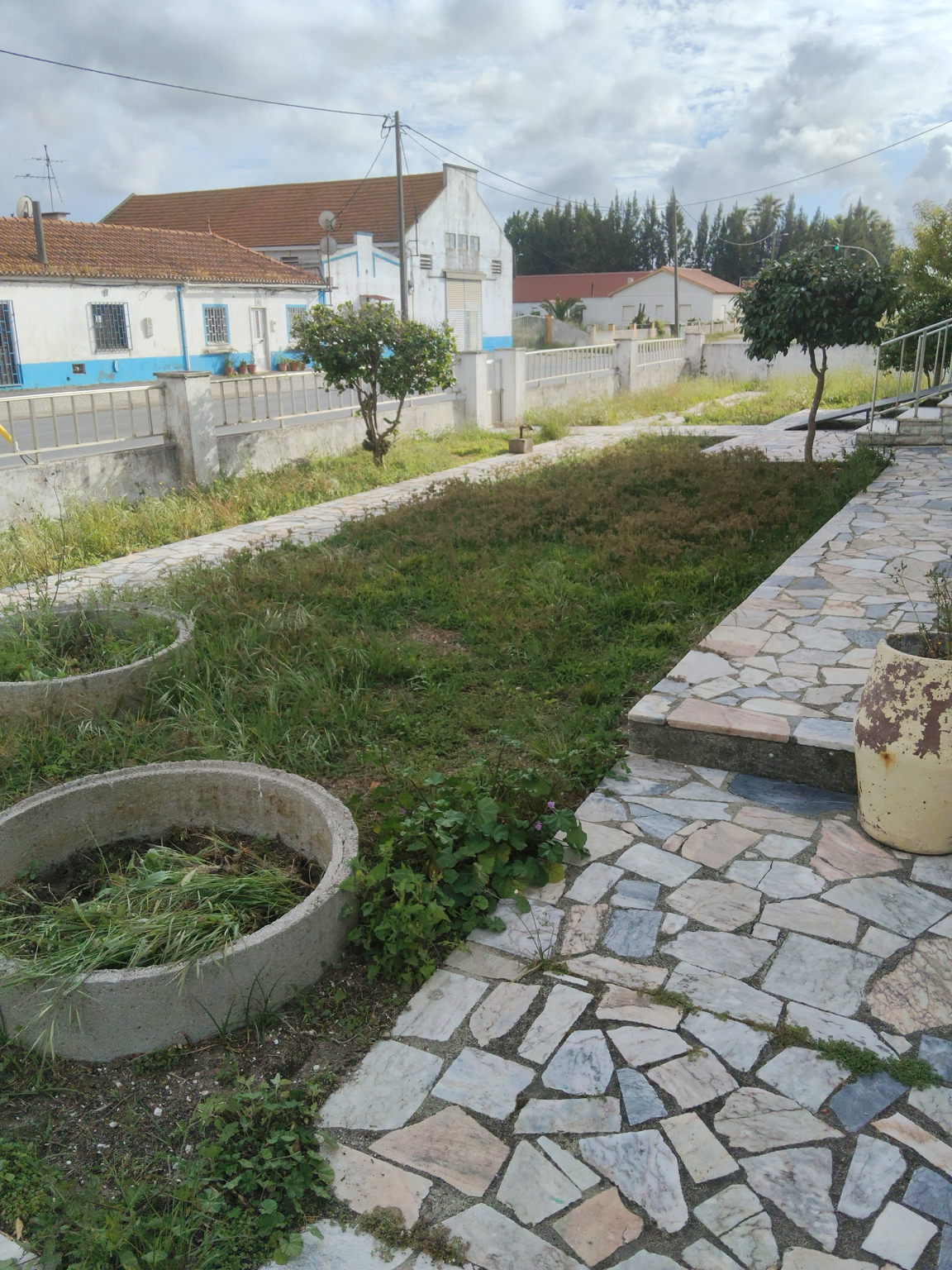 Jardim mágico - Palmela - Remoção de Arbustos