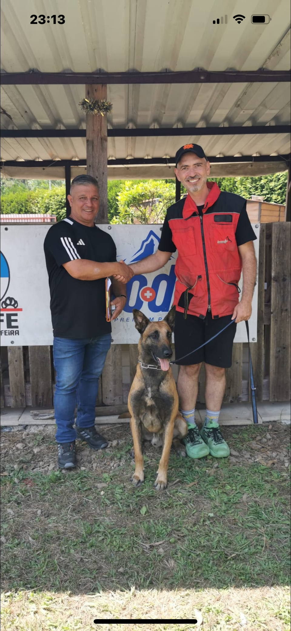 Marcus Freitas - Águeda - Treino de Cães - Aulas