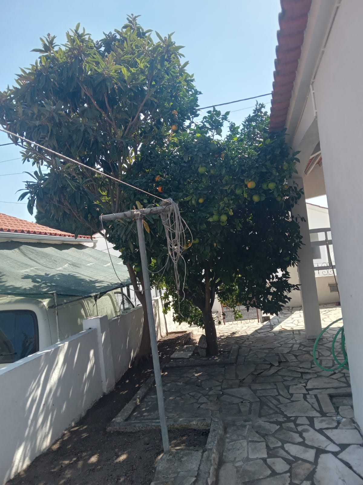 Portugreen - Palmela - Entfernung von Gebüsch- und Baumaufwuchs