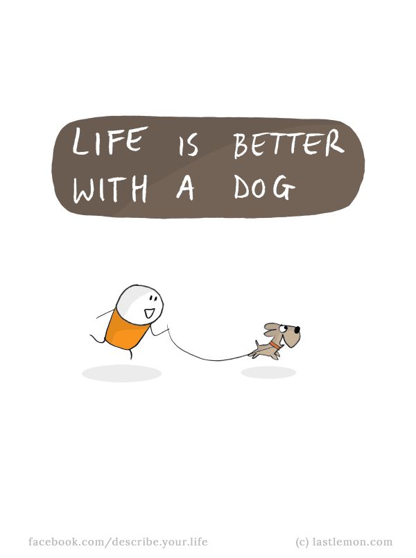 Ana Silva - Vila Nova de Gaia - Dog Walking