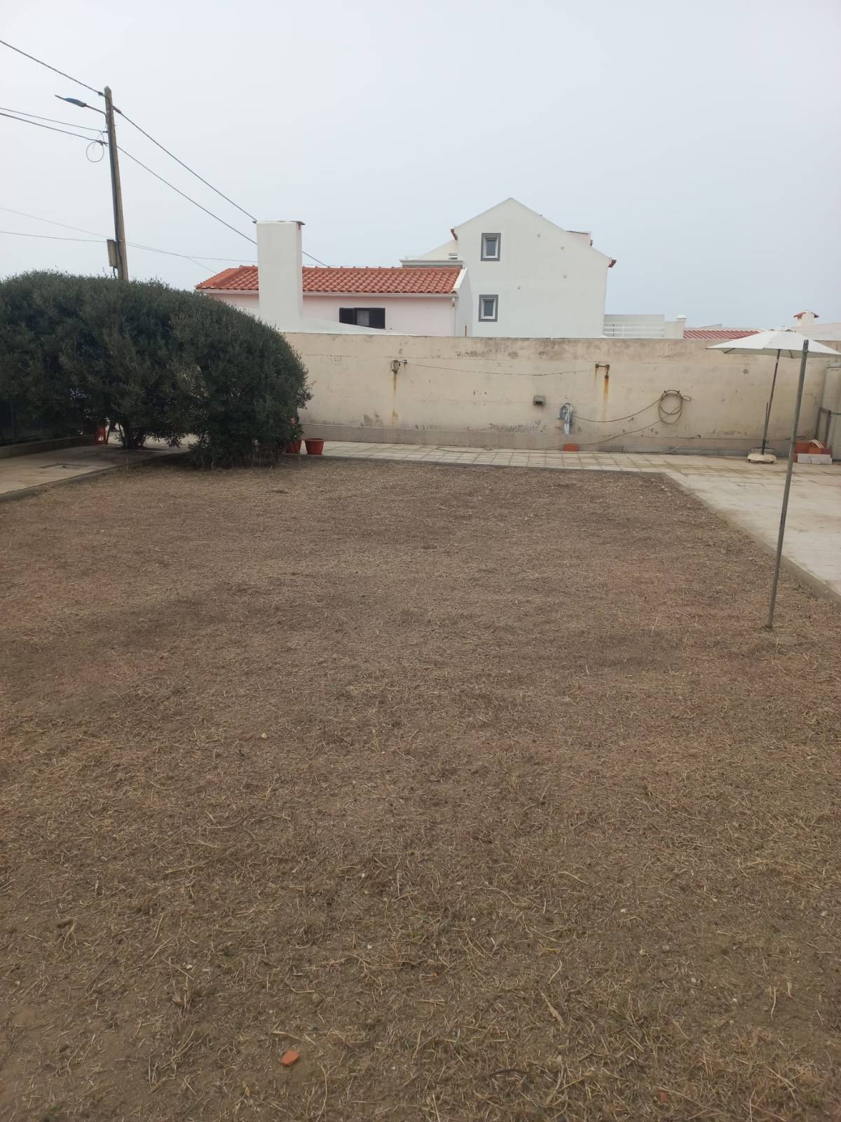 Prado Verde - Figueira da Foz - Remoção de Tronco de Árvore