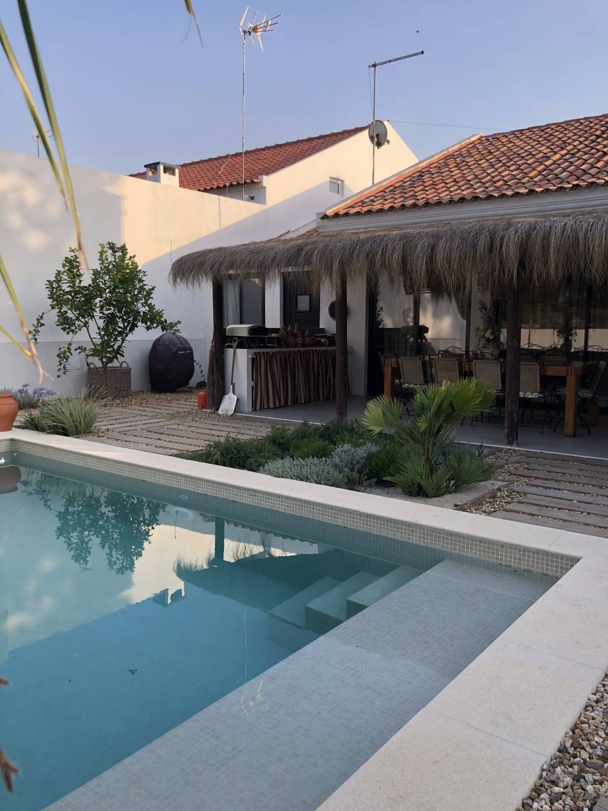 dvir - eco gardens - Grândola - Poda e Manutenção de Árvores