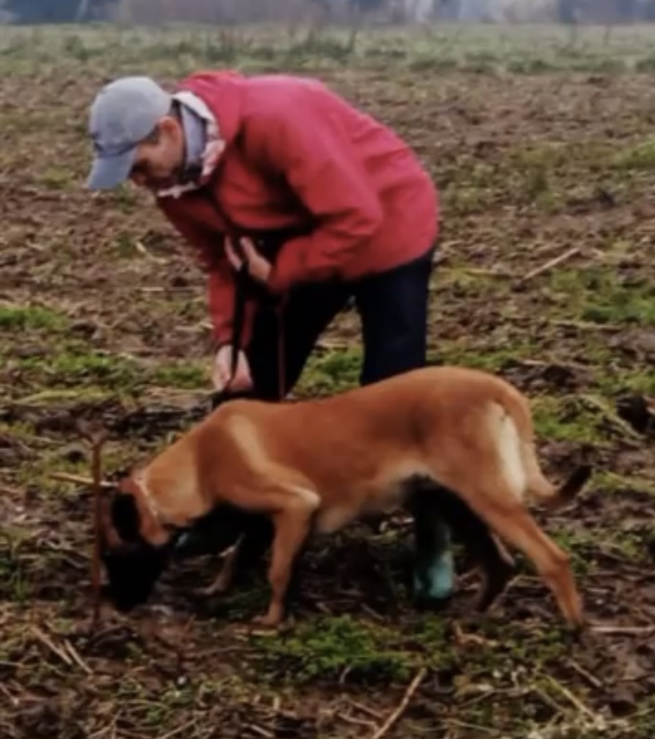 Marcus Freitas - Águeda - Treino de Cães - Aulas