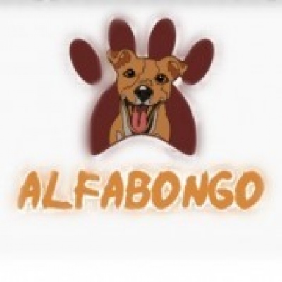 AlfaBONGO - Almada - Hotel para Cães