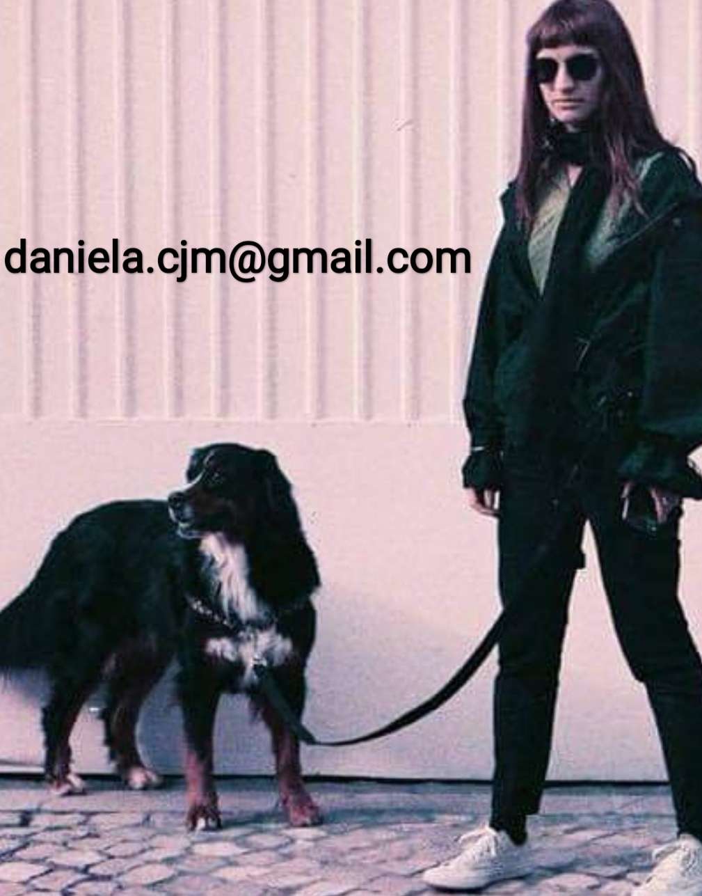 Cecília - Lisboa - Dog Daycare
