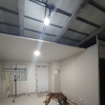 Bernardo Infante - Viseu - Organização da Casa