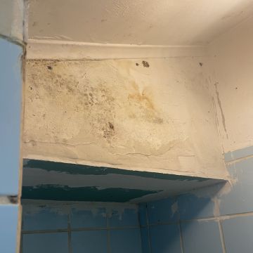 Profs Francisco - Loures - Wände verkleiden, reparieren oder entfernen