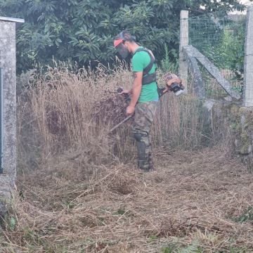 António Batista - Viseu - Shrub Removal