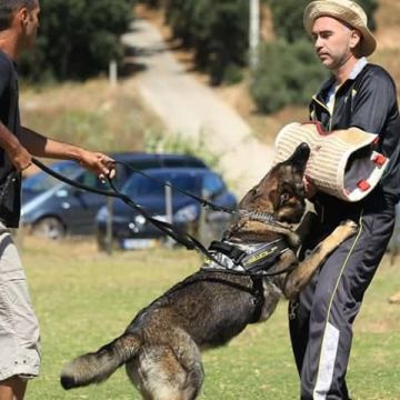 Marcus Freitas - Águeda - Motorista