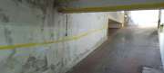 Interior Painter