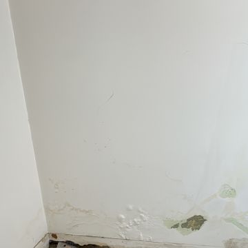 Copper - Seixal - Reparación de suelos de madera o reemplazo parcial