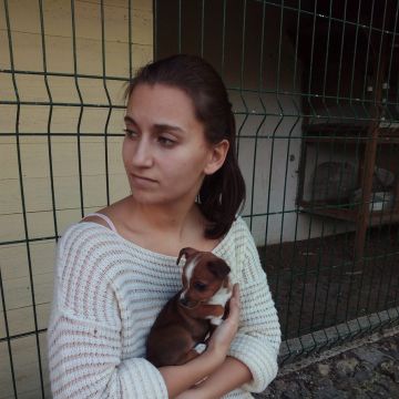 Pet Care with Isabel - Lisboa - Hotel para Cães