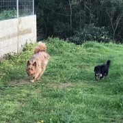 Ines Vilhena - Lisboa - Cat Sitting