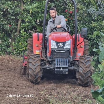 António Batista - Viseu - Lawn Mowing and Trimming