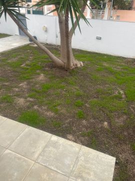 Portugreen - Palmela - Gewächshaus - Montage und Reparatur